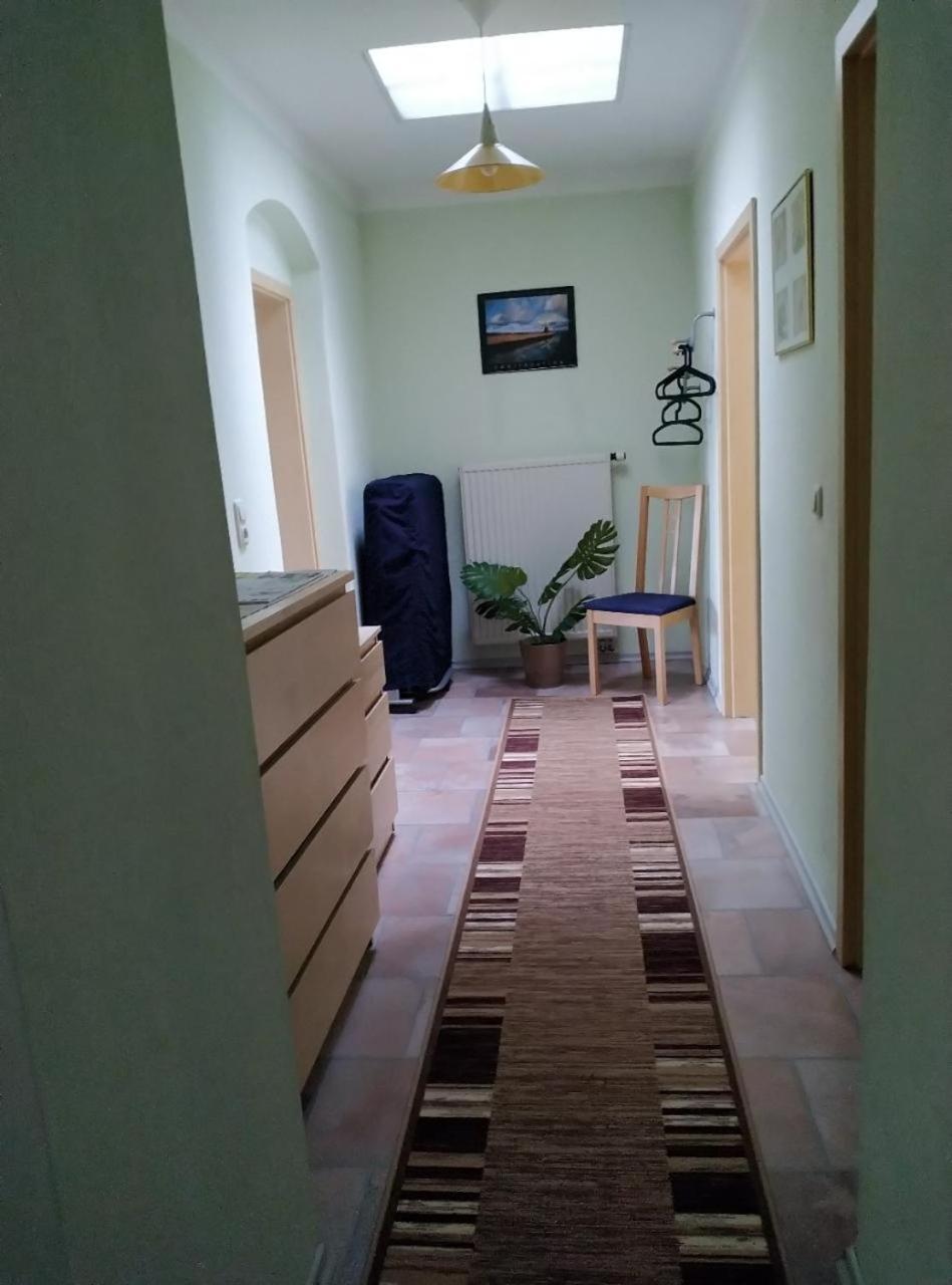 Ambiente-An-Der-Elbe-Wohnung-Og Dresden Buitenkant foto
