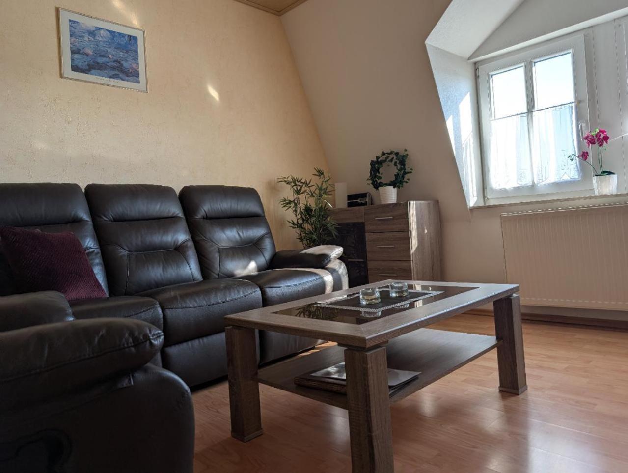 Ambiente-An-Der-Elbe-Wohnung-Og Dresden Buitenkant foto